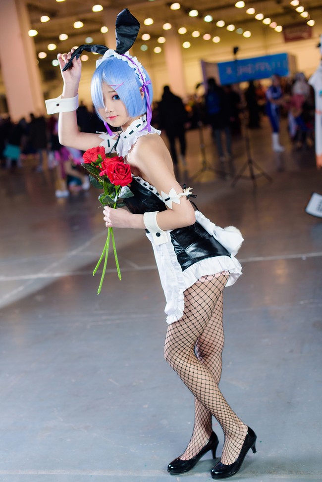 【比分直播】2013年10月11日河南地区肉毛鸡/鸡苗价格行情